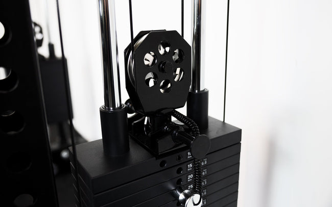 Wall-Mounted Athena